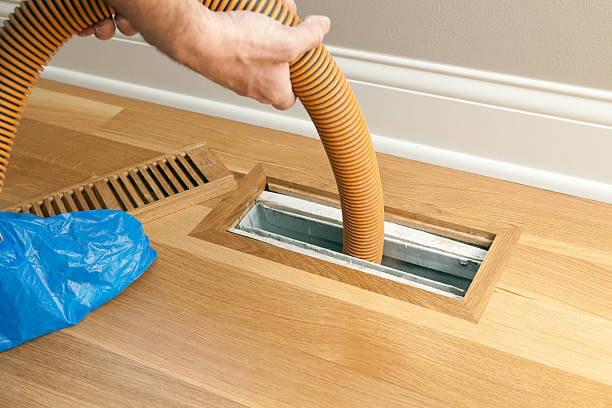 Best Dryer Vent Cleaning Services  in Oblong, IL