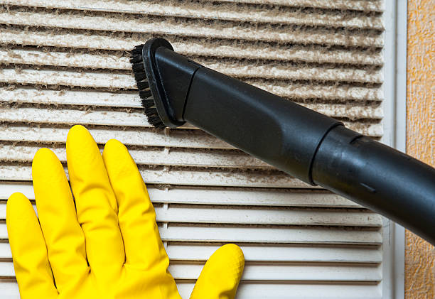 Best Home Air Vent Cleaning  in Oblong, IL